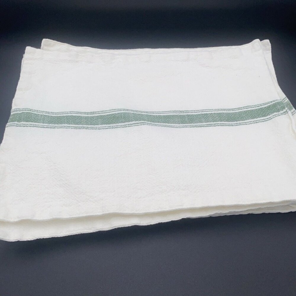Southern Living Green Ivory Placemats Cotton Set 6 14" x 19" Farmhouse Cottage